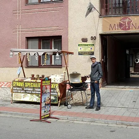 Ubytovani Ve Vinarstvi Michna 乡村民宿 Velké Pavlovice