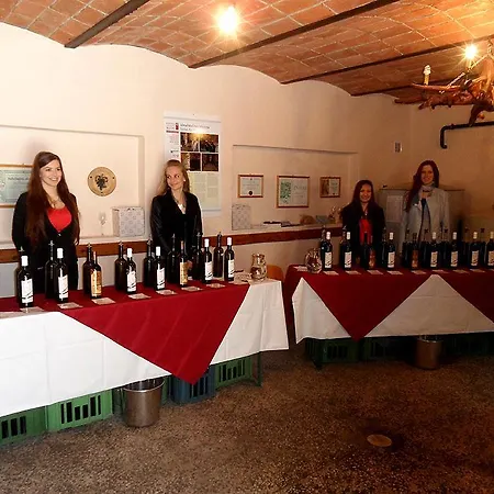 Ubytovani Ve Vinarstvi Michna Velké Pavlovice